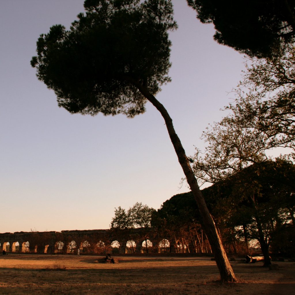Parco degli Acquedotti parchi protetti Roma